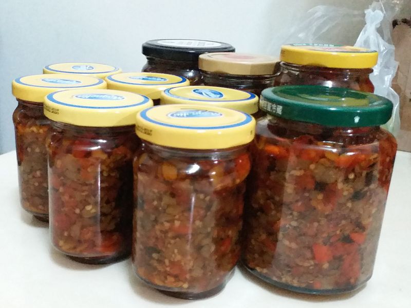 辣椒菜圃