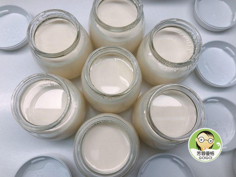 室溫保久乳自製優格~小七優格機