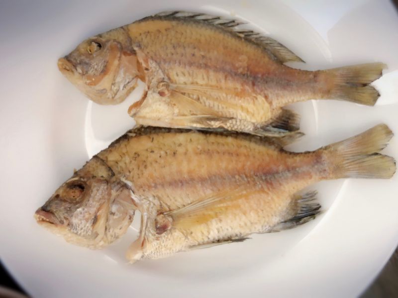 魚,你也能煎的漂亮