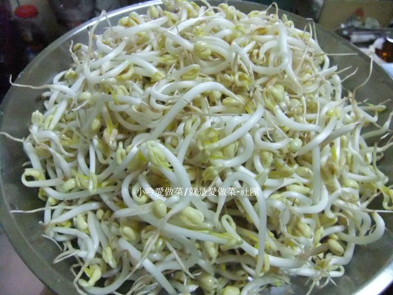 小吟愛做菜~『diy綠豆芽』萌芽了~抗菜價漲