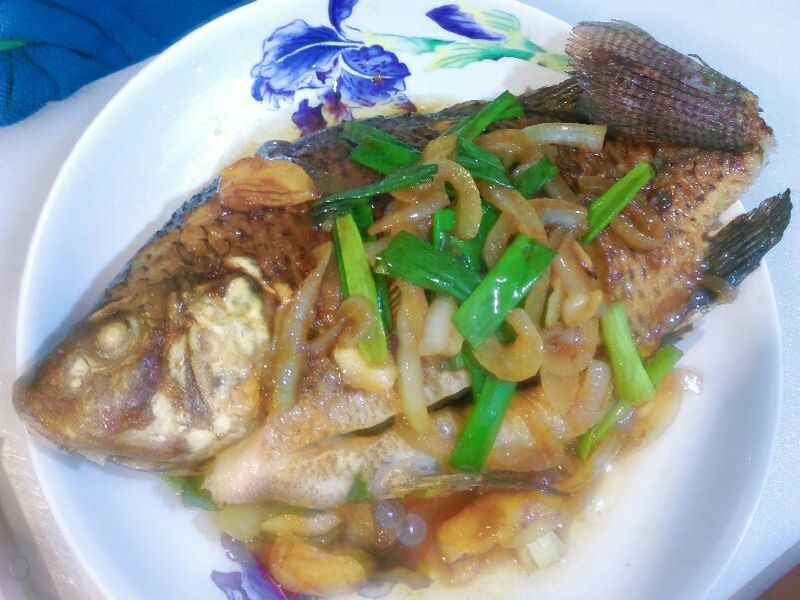 醬燒吳郭魚
