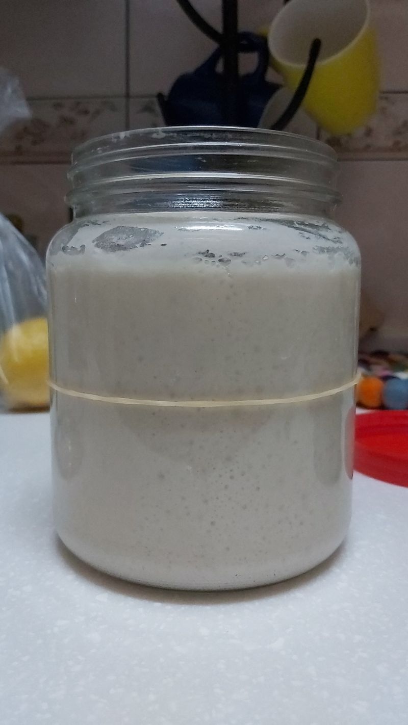 水果酵種製作