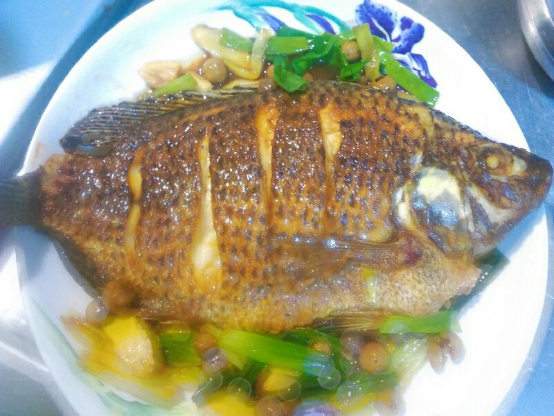 破布籽吳郭魚