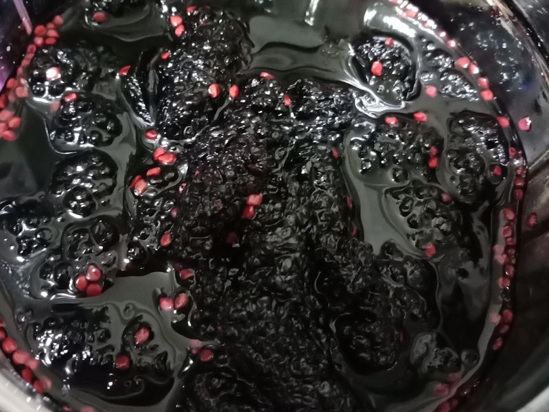 自製天然飲料♥桑葚汁