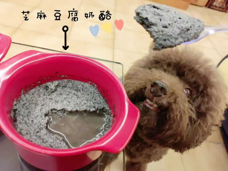 【抗老美顏】黑芝麻豆腐奶酪