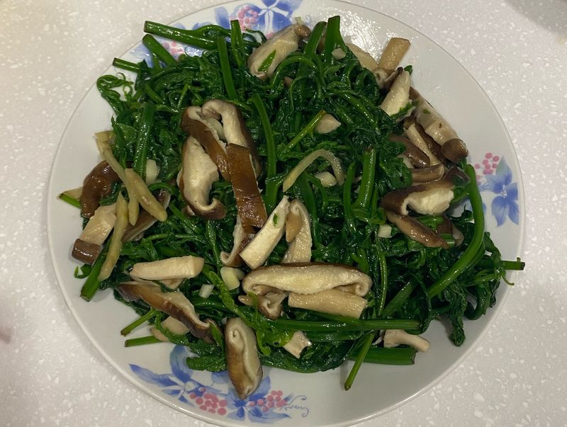 炒過貓
