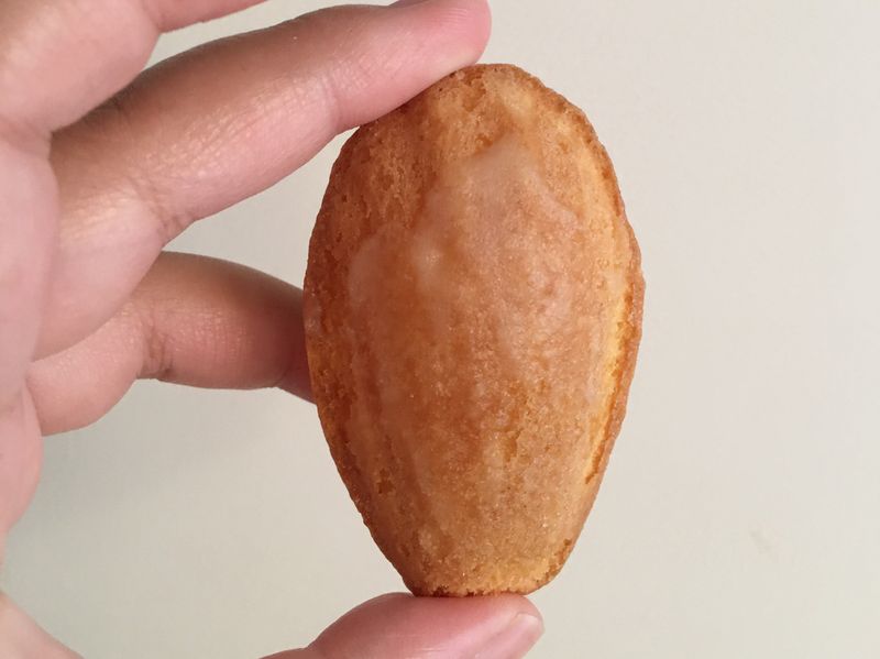 瑪德蓮