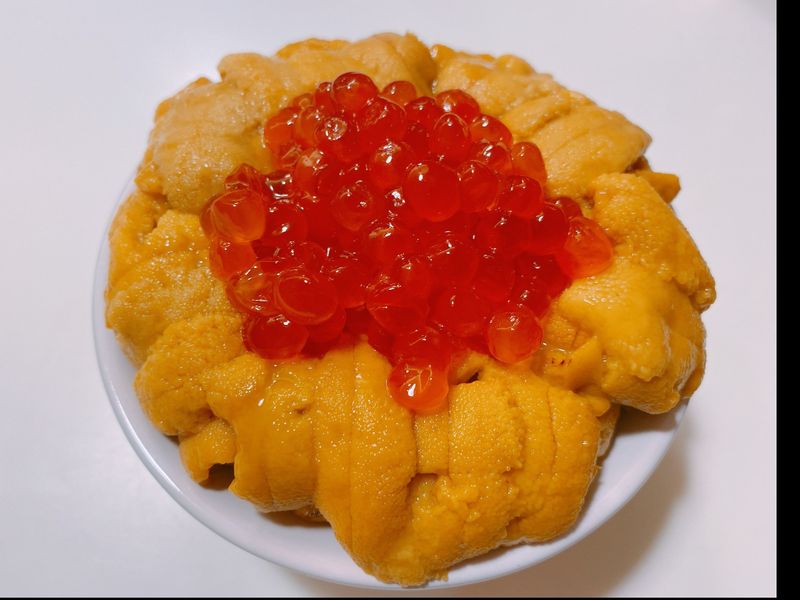 滿溢海膽飯～