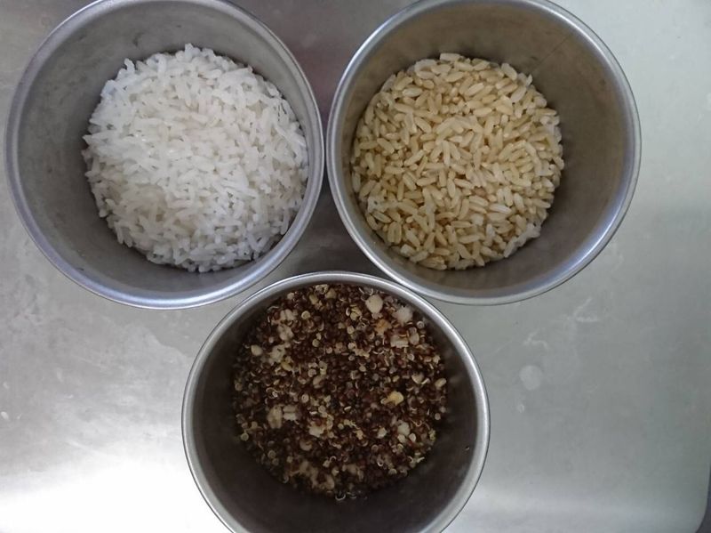 三色飯-全國電子新店民權店萬用鍋