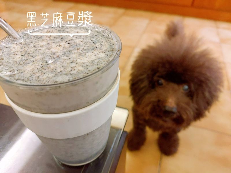 【黑芝麻】芝麻豆漿/芝麻牛奶 圖文熱量表