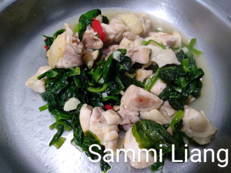 豆苗炒雞肉