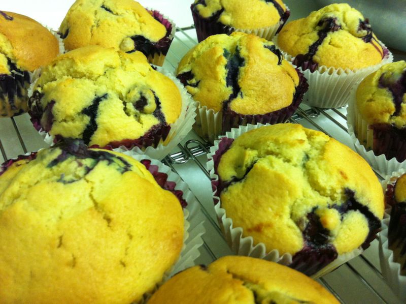 藍莓瑪芬 Blueberry Muffin