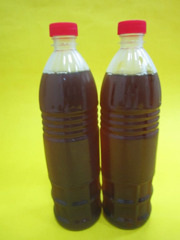 仙草排骨(雞)湯