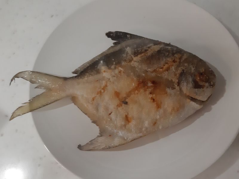 香煎白鯧