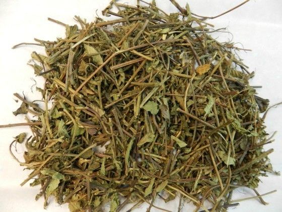 仙草甘茶