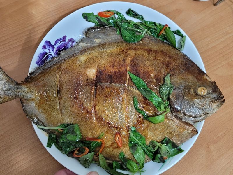 塔香黑鯧