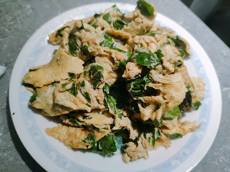 辣木煎蛋