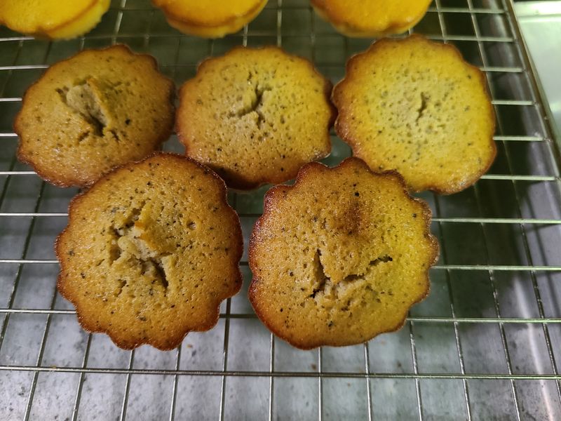 瑪德蓮（多口味）