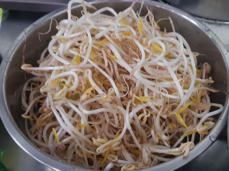 不出門豆芽菜