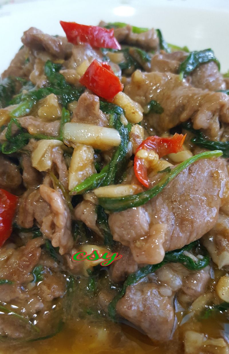 沙茶羊肉