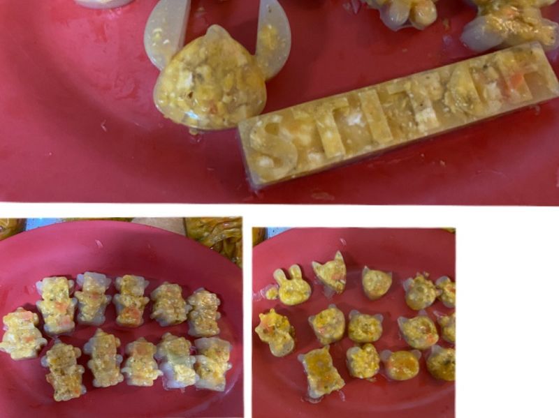 寵物鮮食果凍
