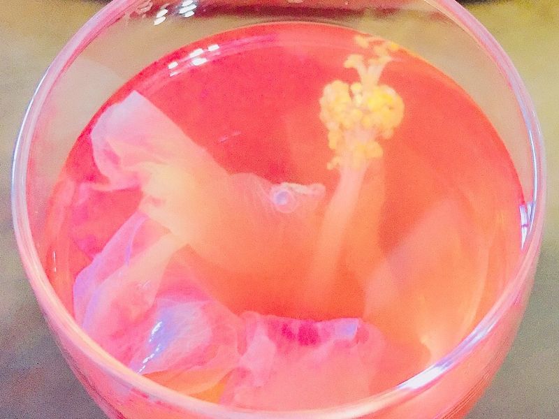扶桑花茶