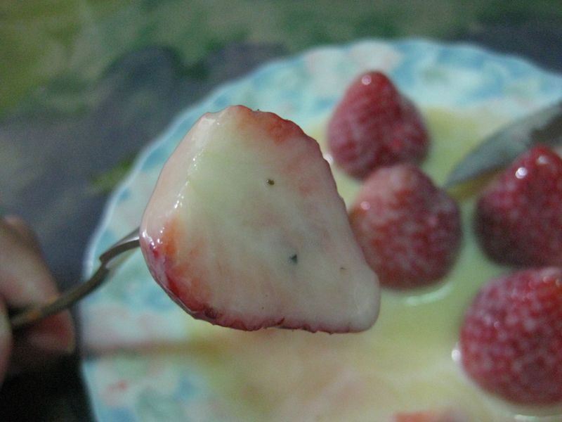 《草莓就愛鷹牌煉奶》最簡單的滋味就是最難忘的滋味