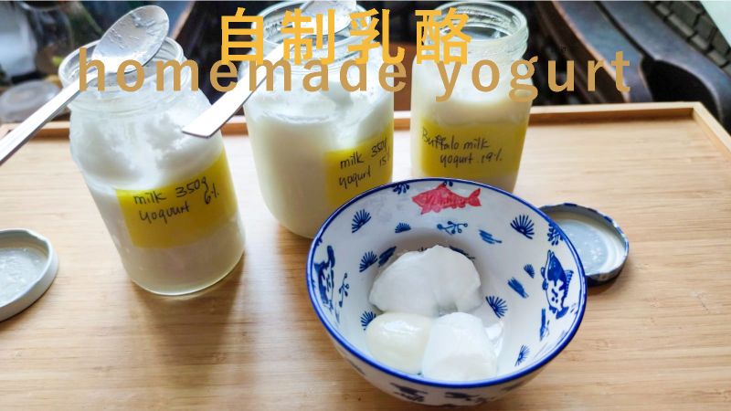 自制優格/酸奶 很危險 解說優格 附影片