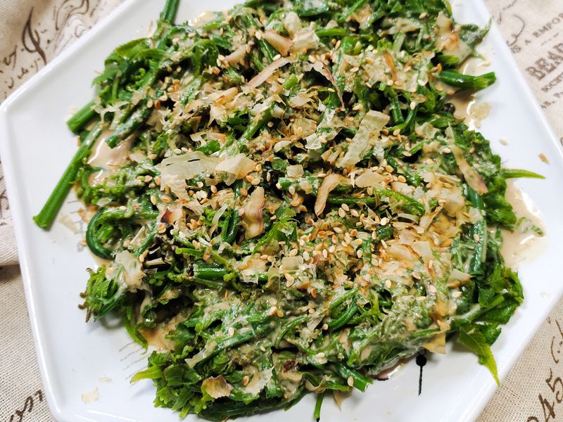 胡麻涼拌過貓