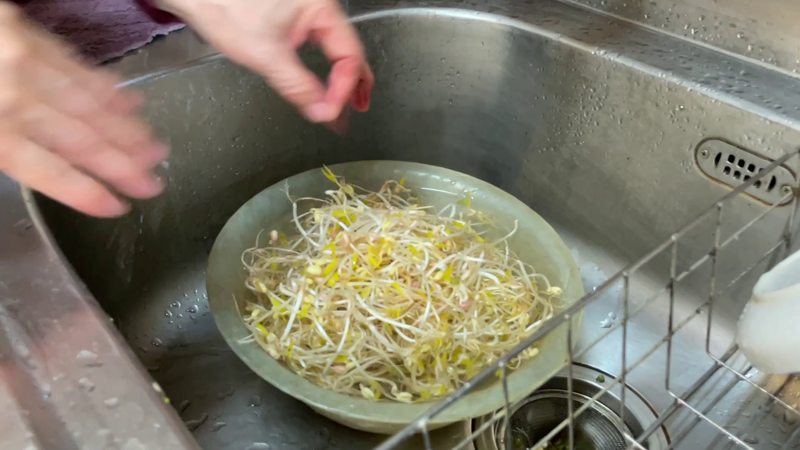 自發綠豆芽*萍姊