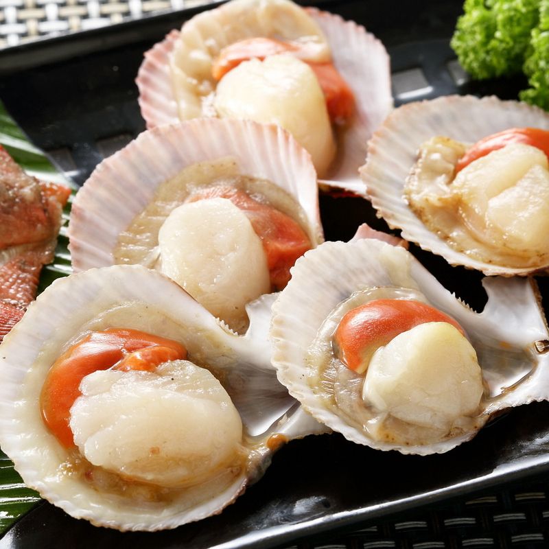 清蒸扇貝