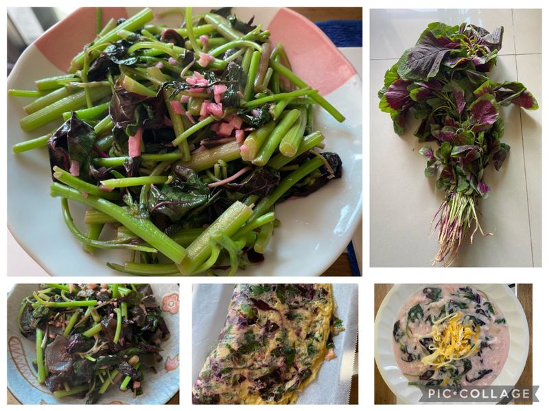紅莧(ㄒㄧㄢˋ)菜料理1/4-蒜炒紅莧菜