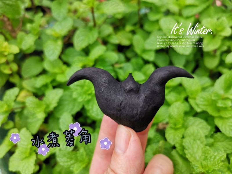 水煮菱角