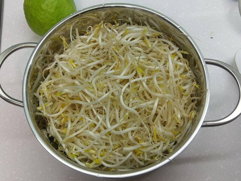 培育豆芽菜