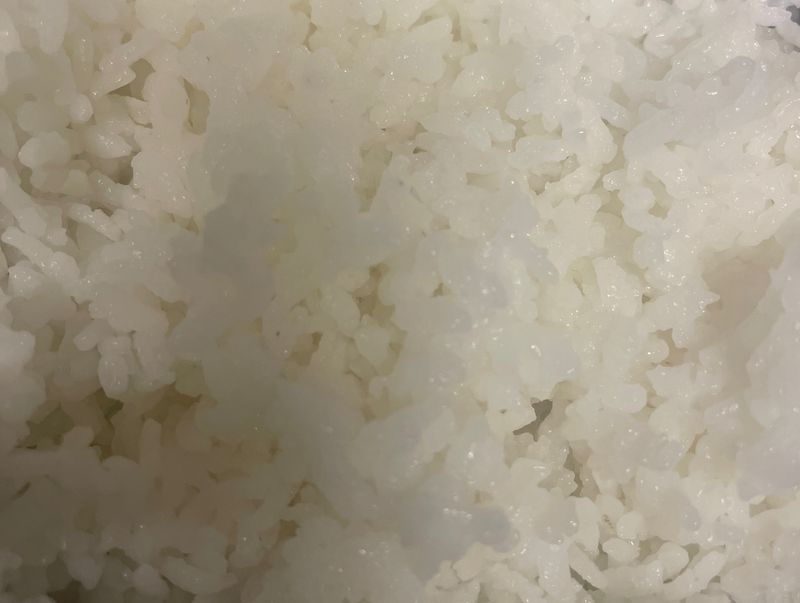 大同電鍋白飯