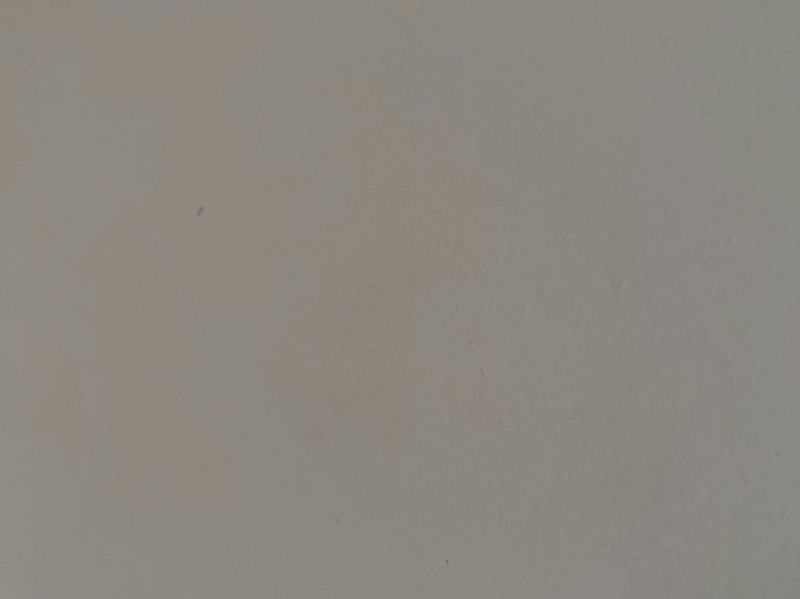 白饅頭的比例