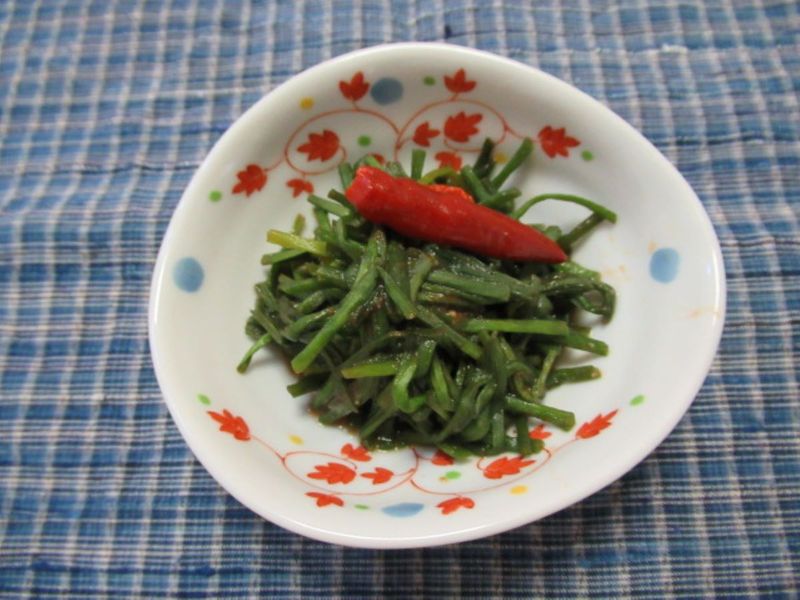 茄汁水蓮