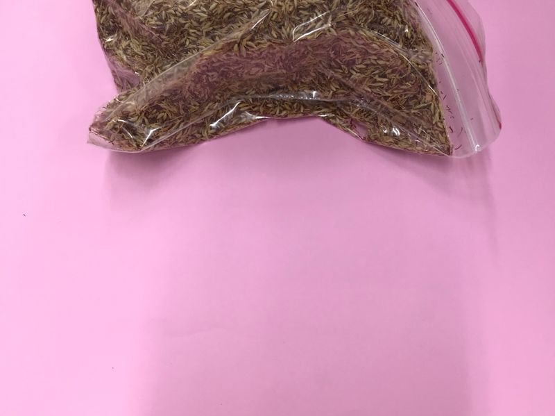 洗愛玉籽