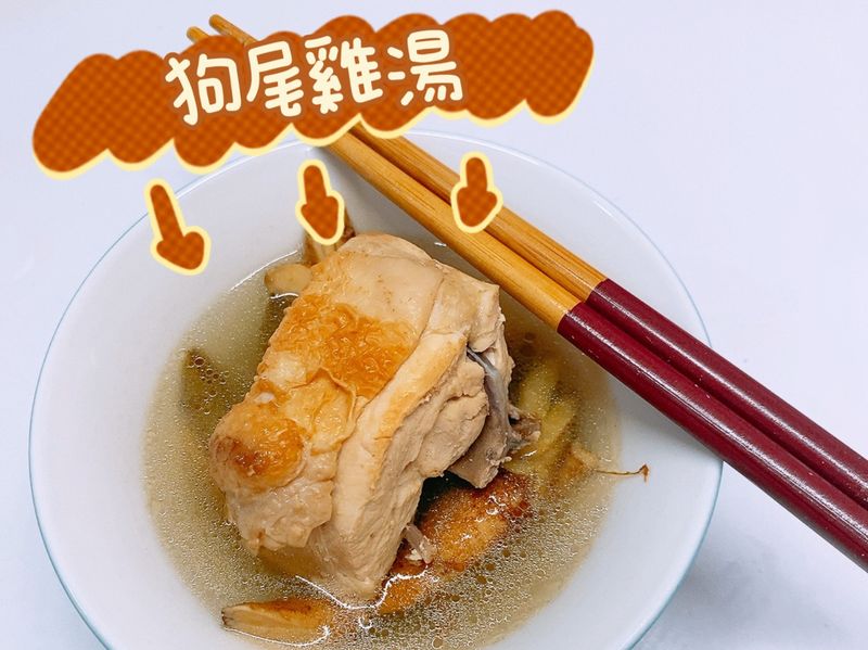 狗尾雞湯
