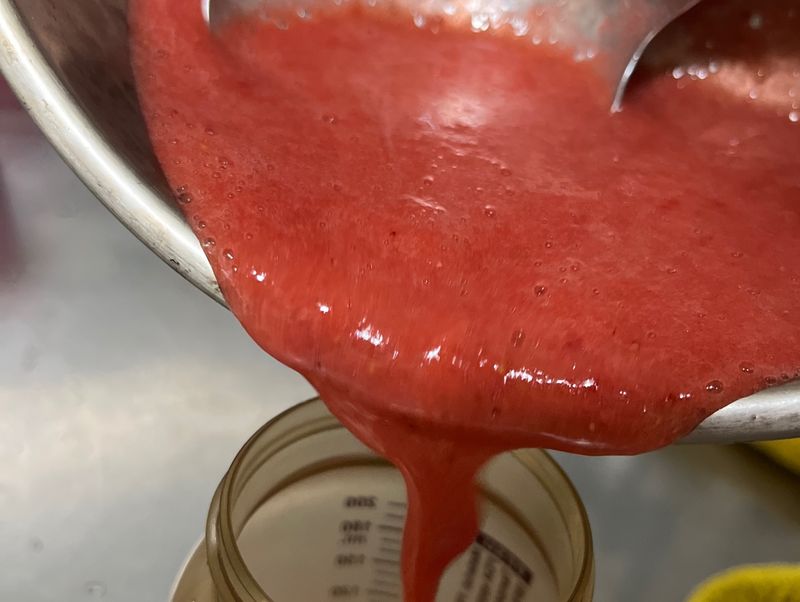 草莓醬🍓