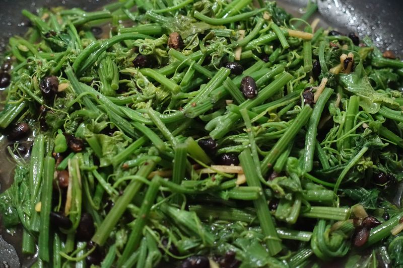 豆豉炒過貓