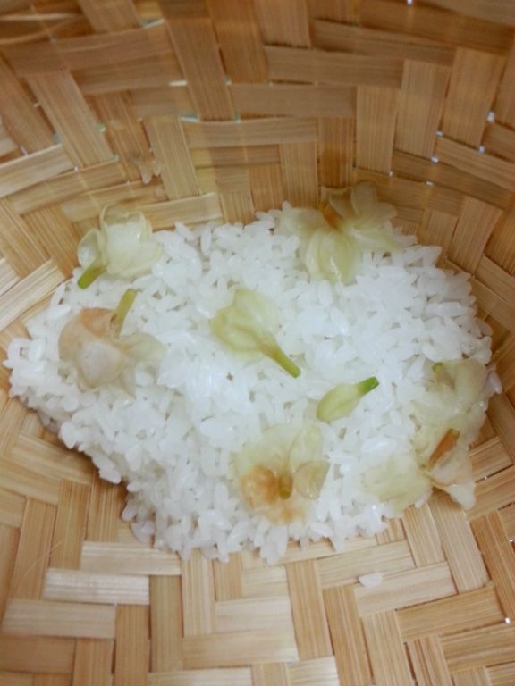 ♦泰泰風♦茉莉花香水蒸飯