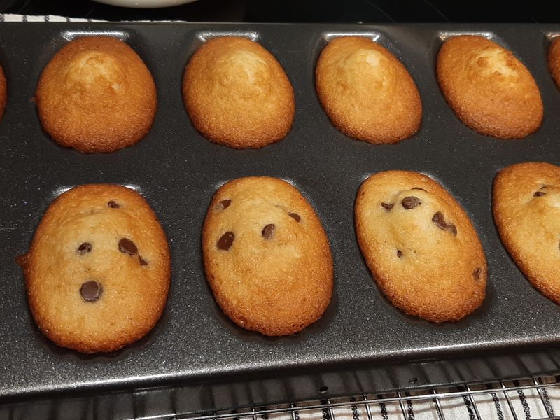 微檸檬瑪德蓮