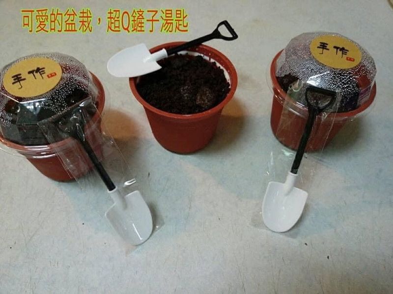 盆栽奶酪