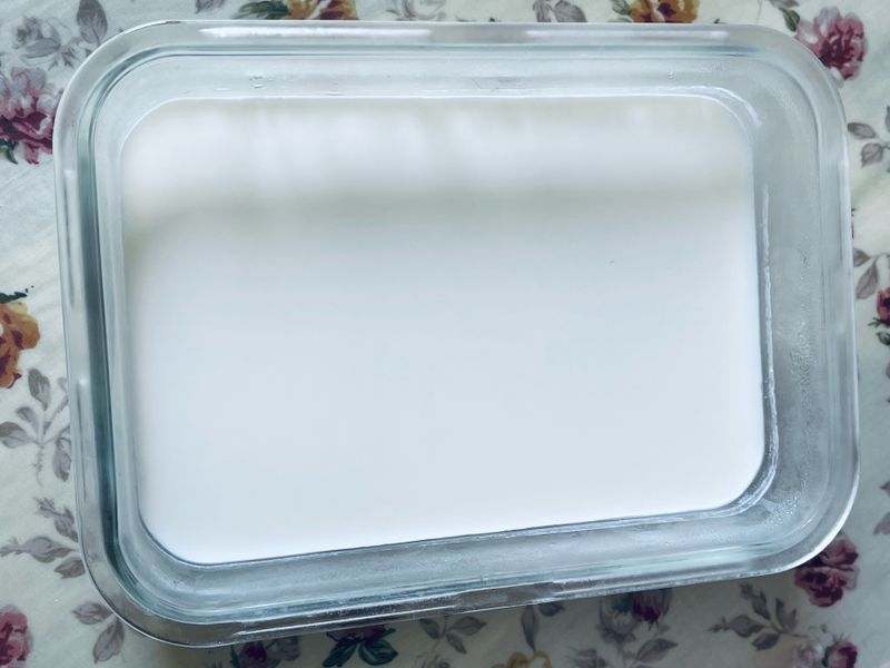 自製優格