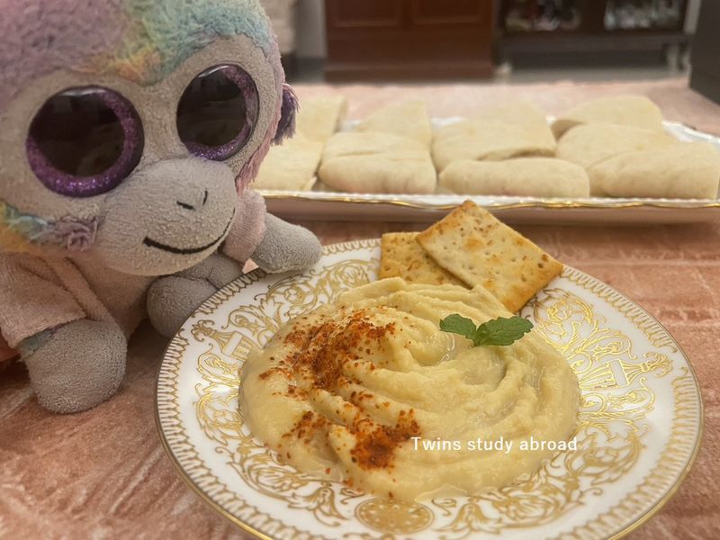 鷹嘴豆泥Hummus