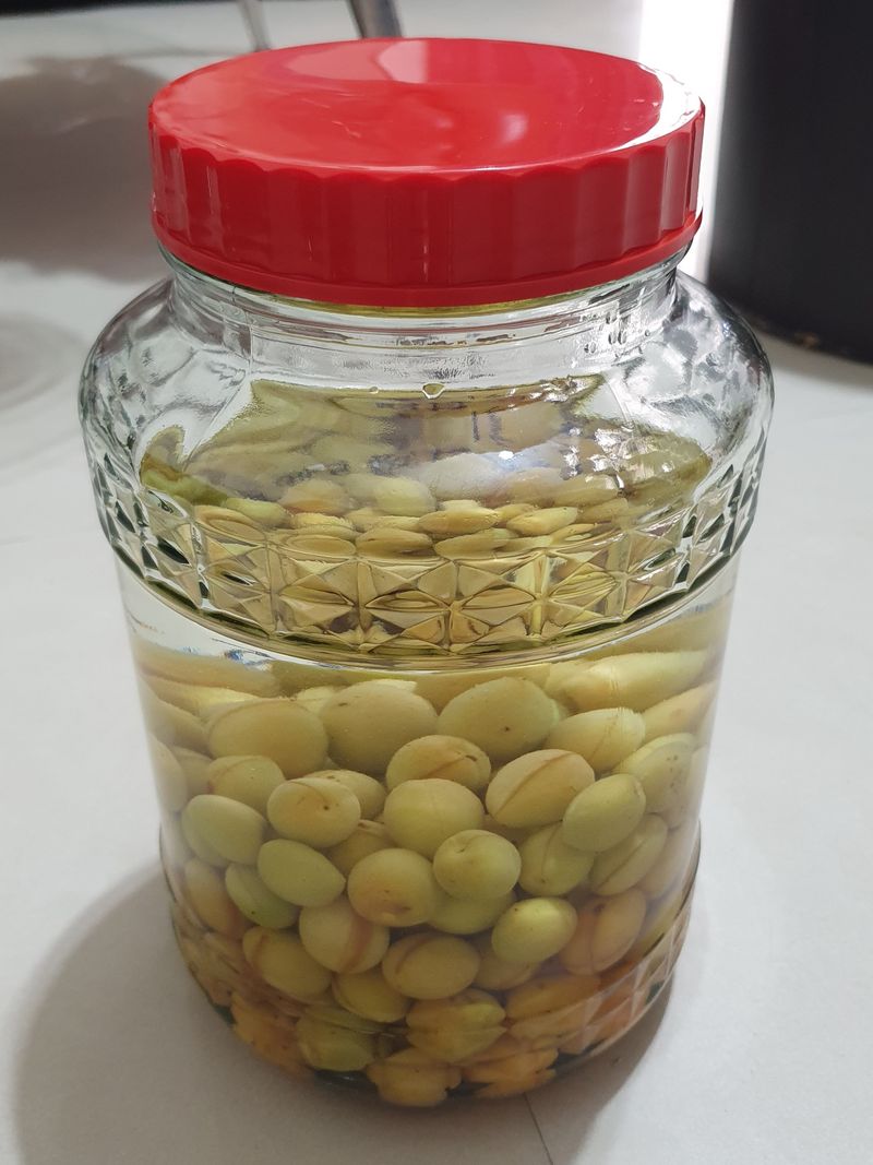 自製梅酒