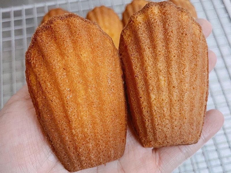 瑪德蓮