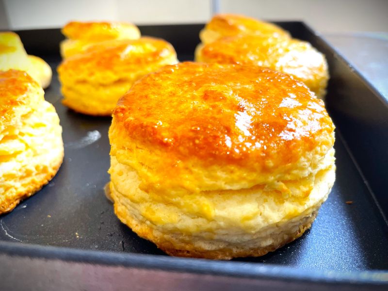 比司吉Biscuit