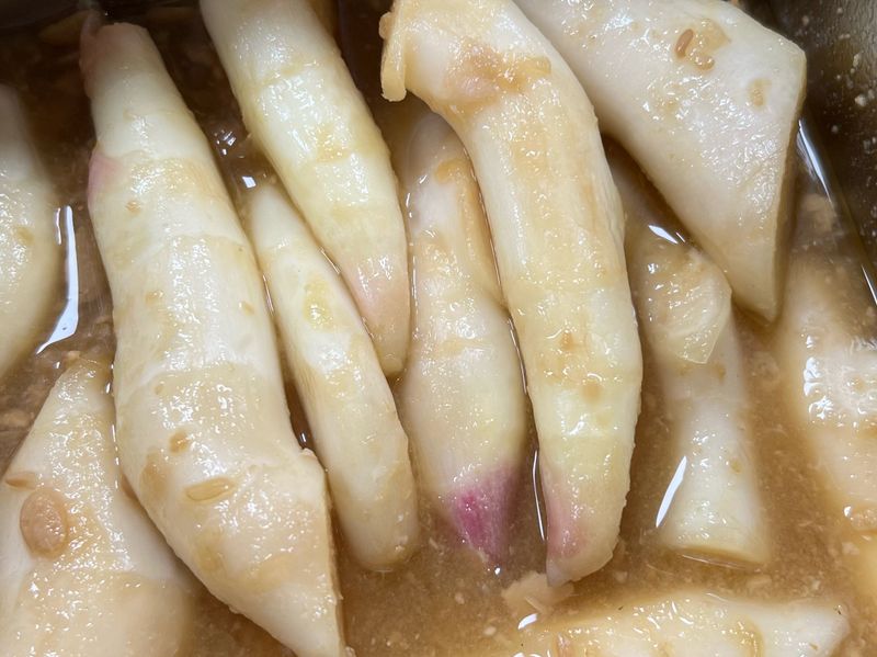 米豆醬醃嫩薑